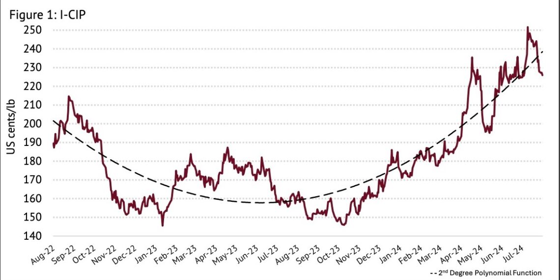 The International Coffee Organization’s (ICO) July 2024 market report reveals its Composite Indicator Price (I-CIP).